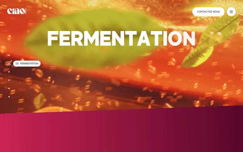 Fabrication page: the Fermentation step with full-screen kinetic type over tea leaves